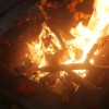 11r_Guru_Purnima_Rishikesh_2013