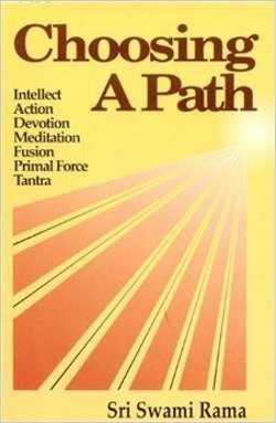 Choosing a Path (Book Cover)
