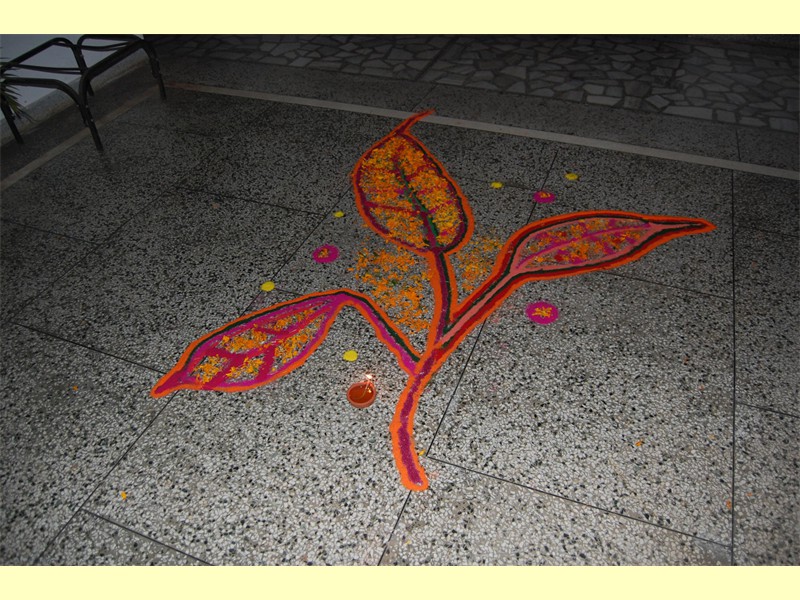 08h_Diwali_2014_SRSG