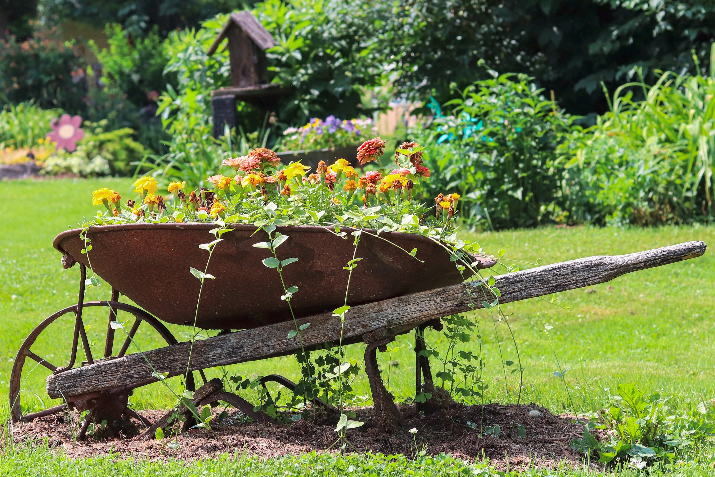 wheelbarrow